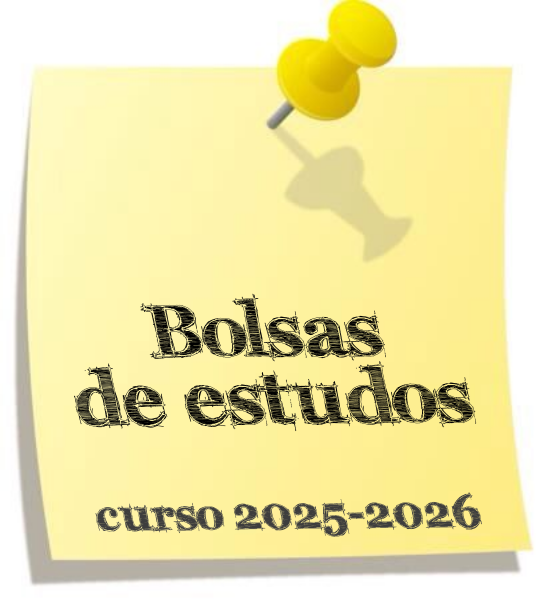 bolsas de estudos