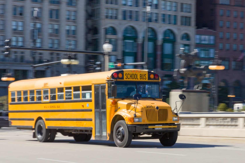 bus