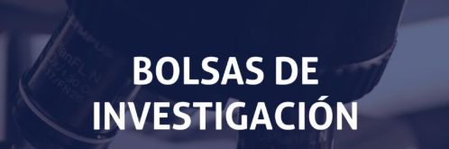 investigación