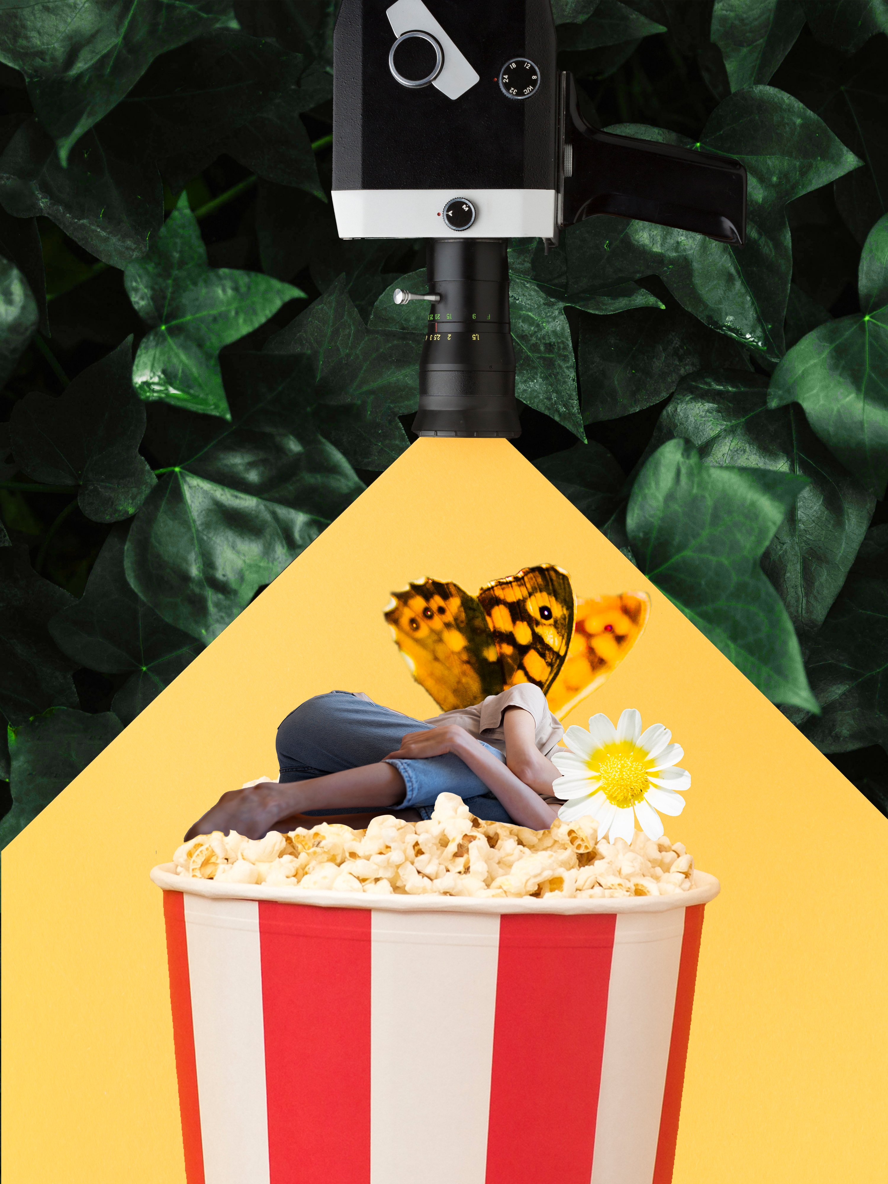 festival cine
