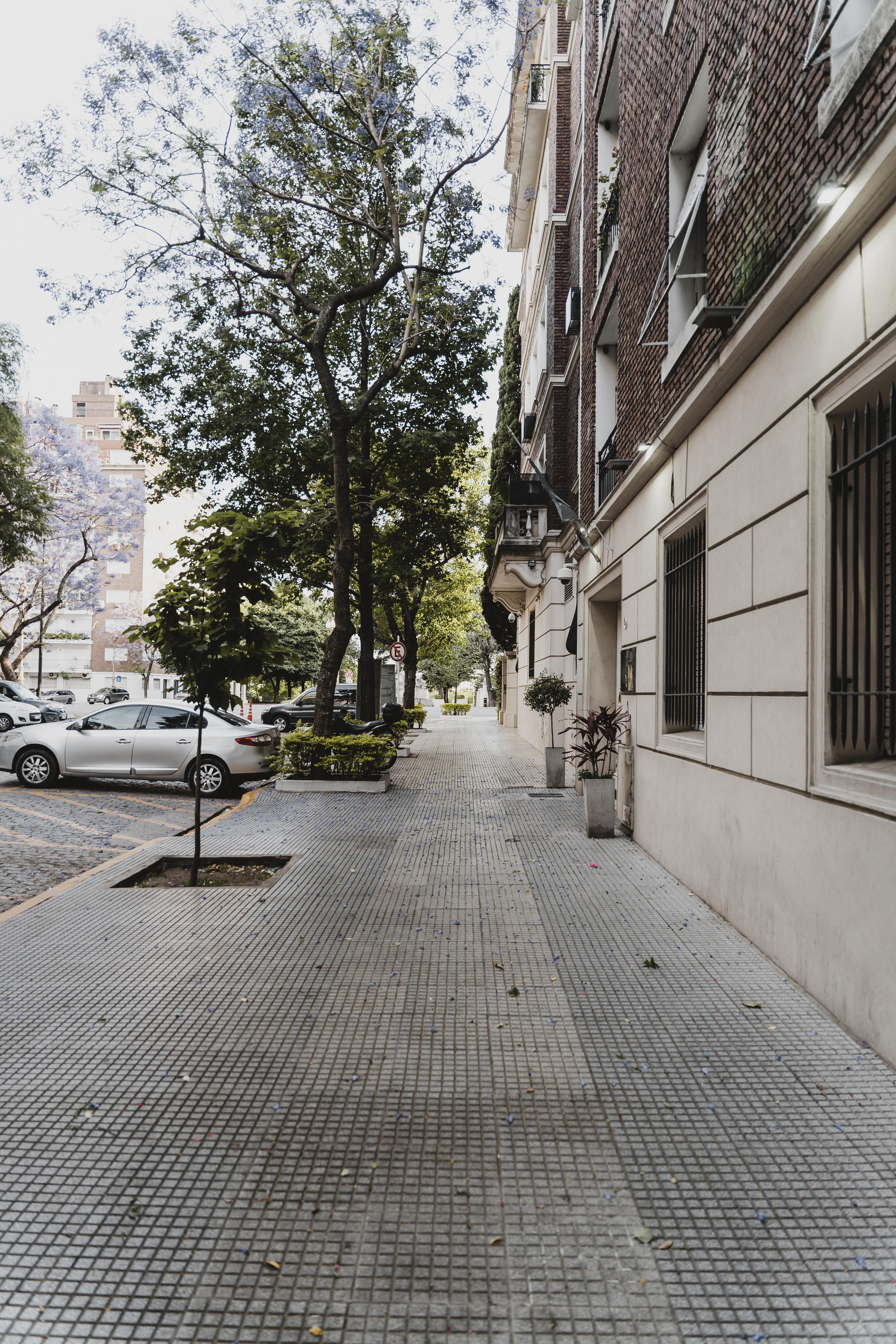 actividades municipais