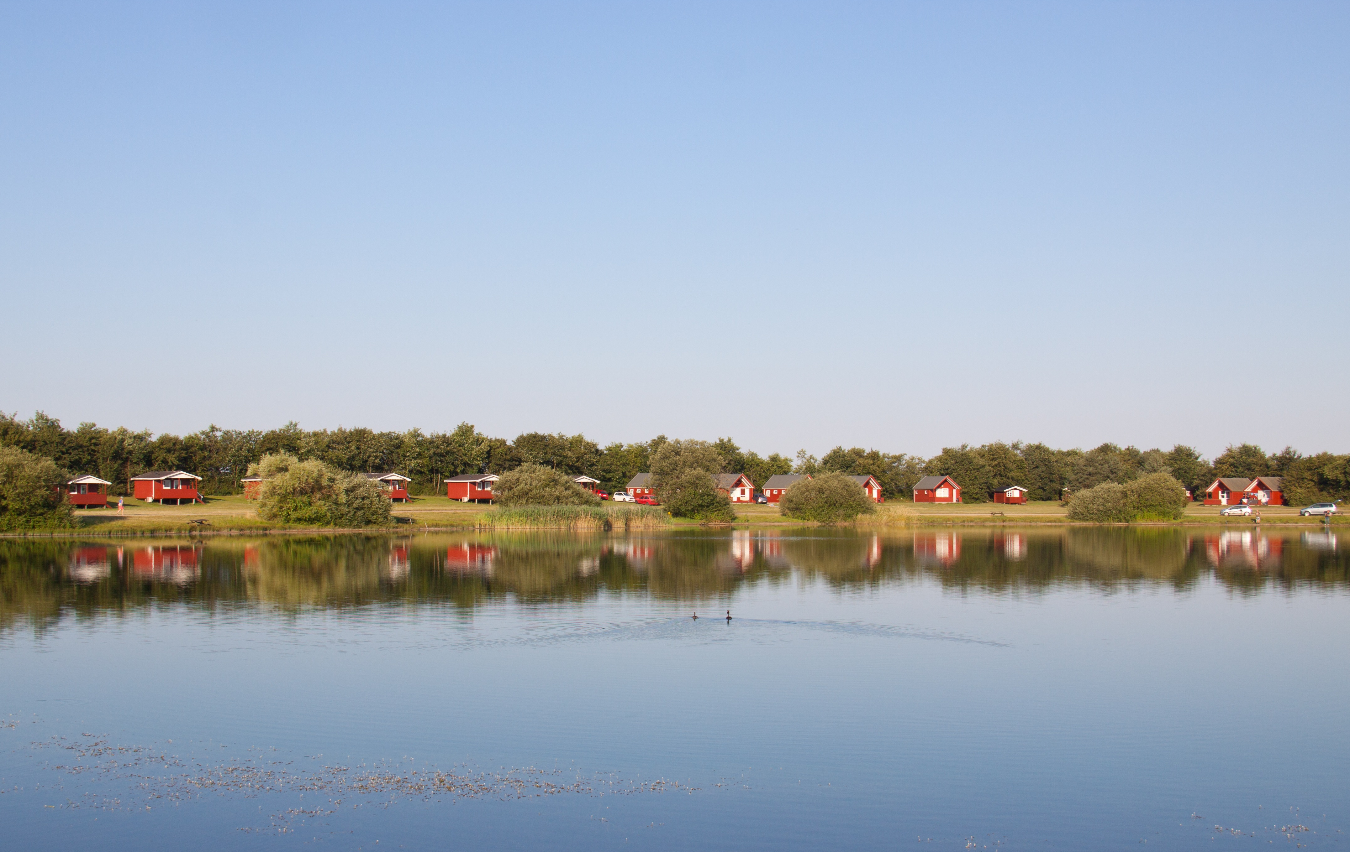 campamento de verano