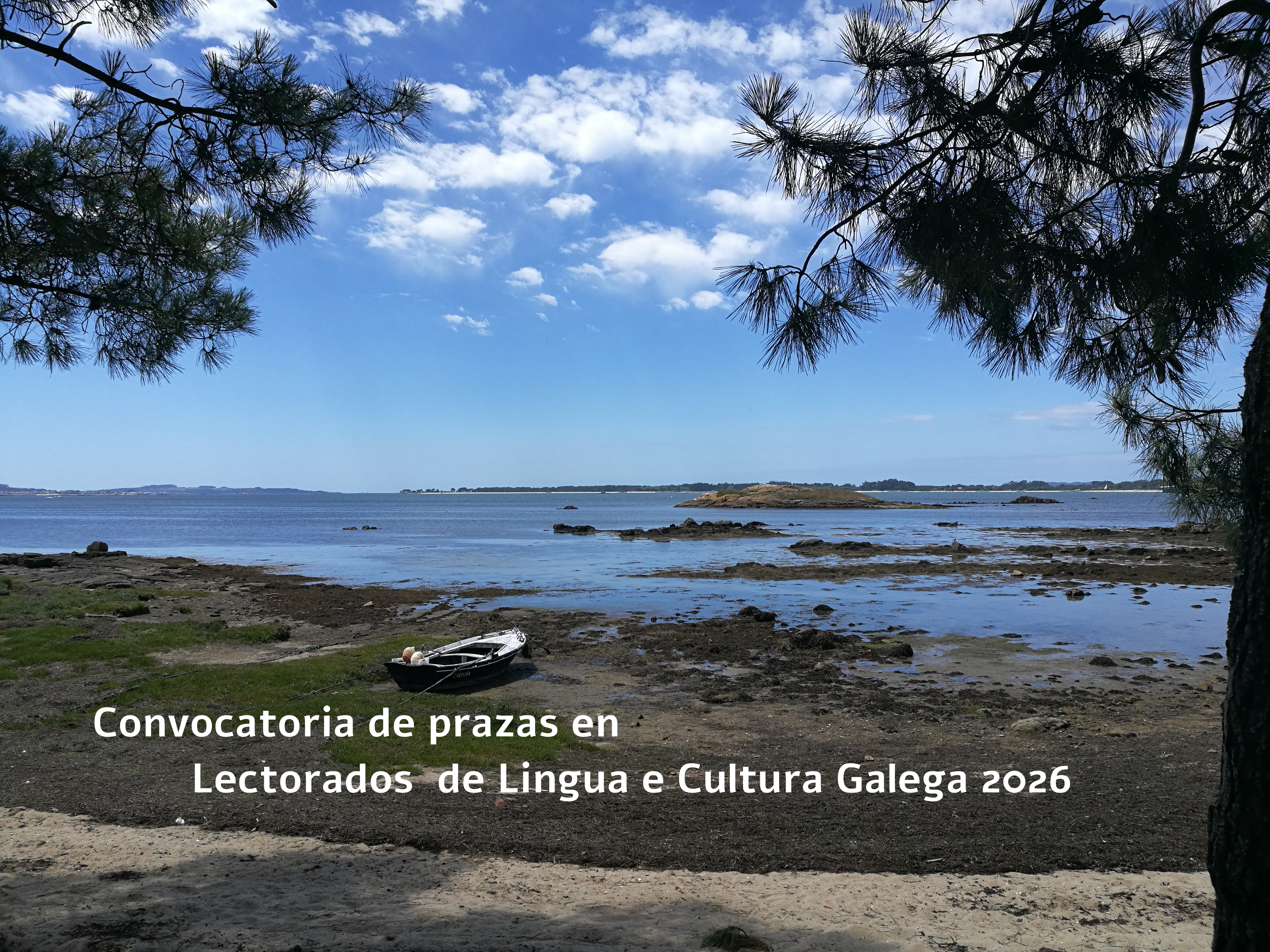 lectorados galego
