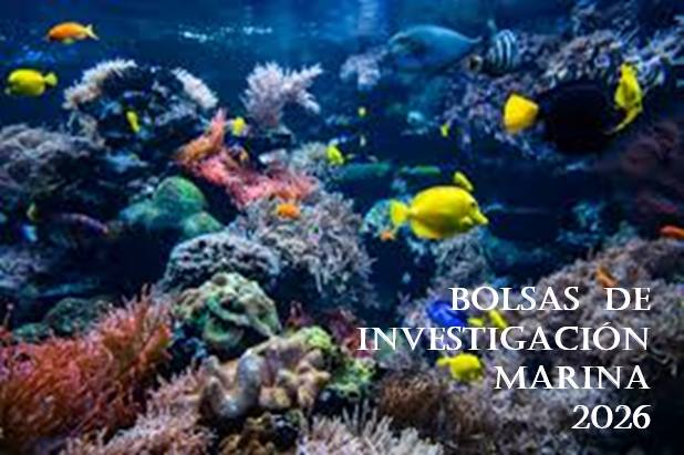 INVESTIGACION MARINA