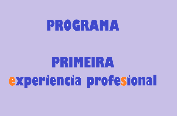 experiencia profesional