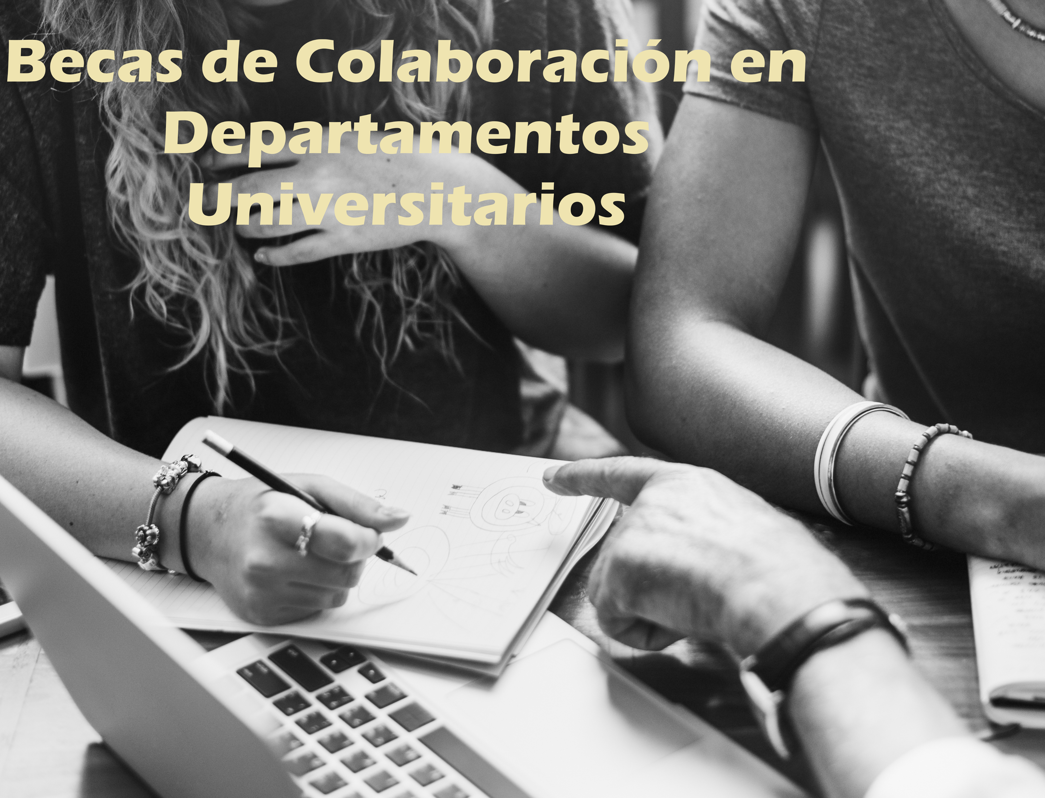becas colaboracion