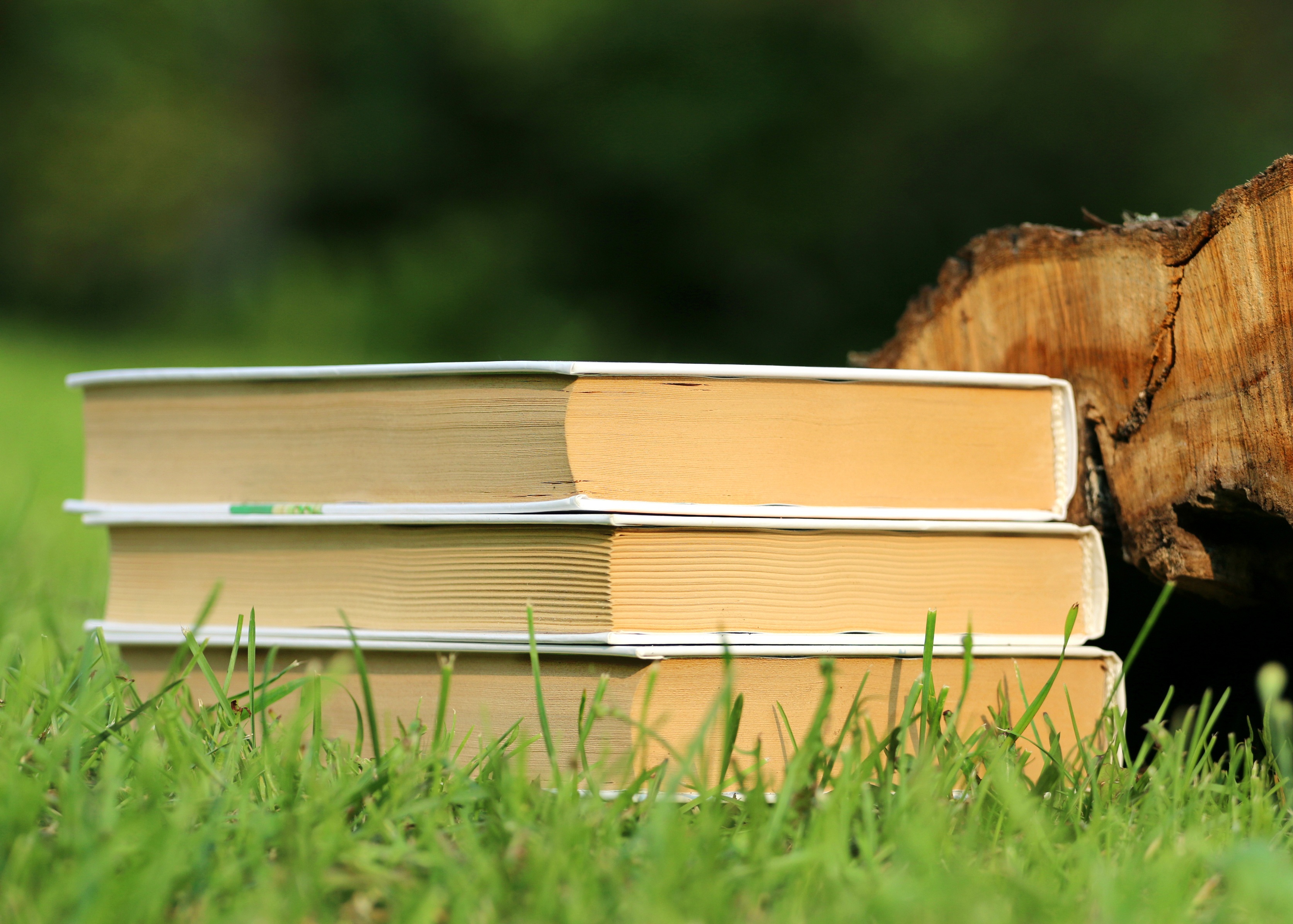 libros de texto