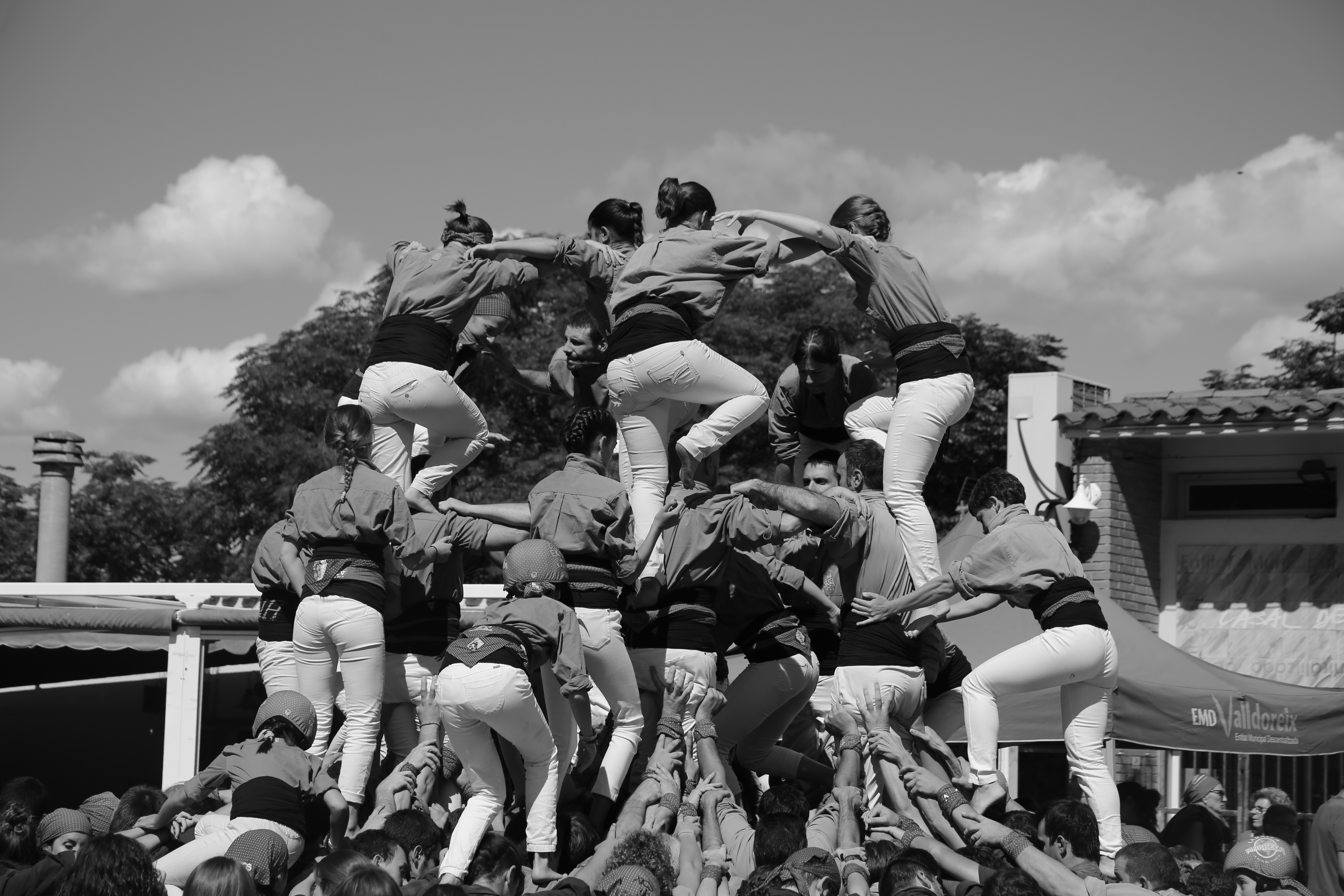actividade cultural