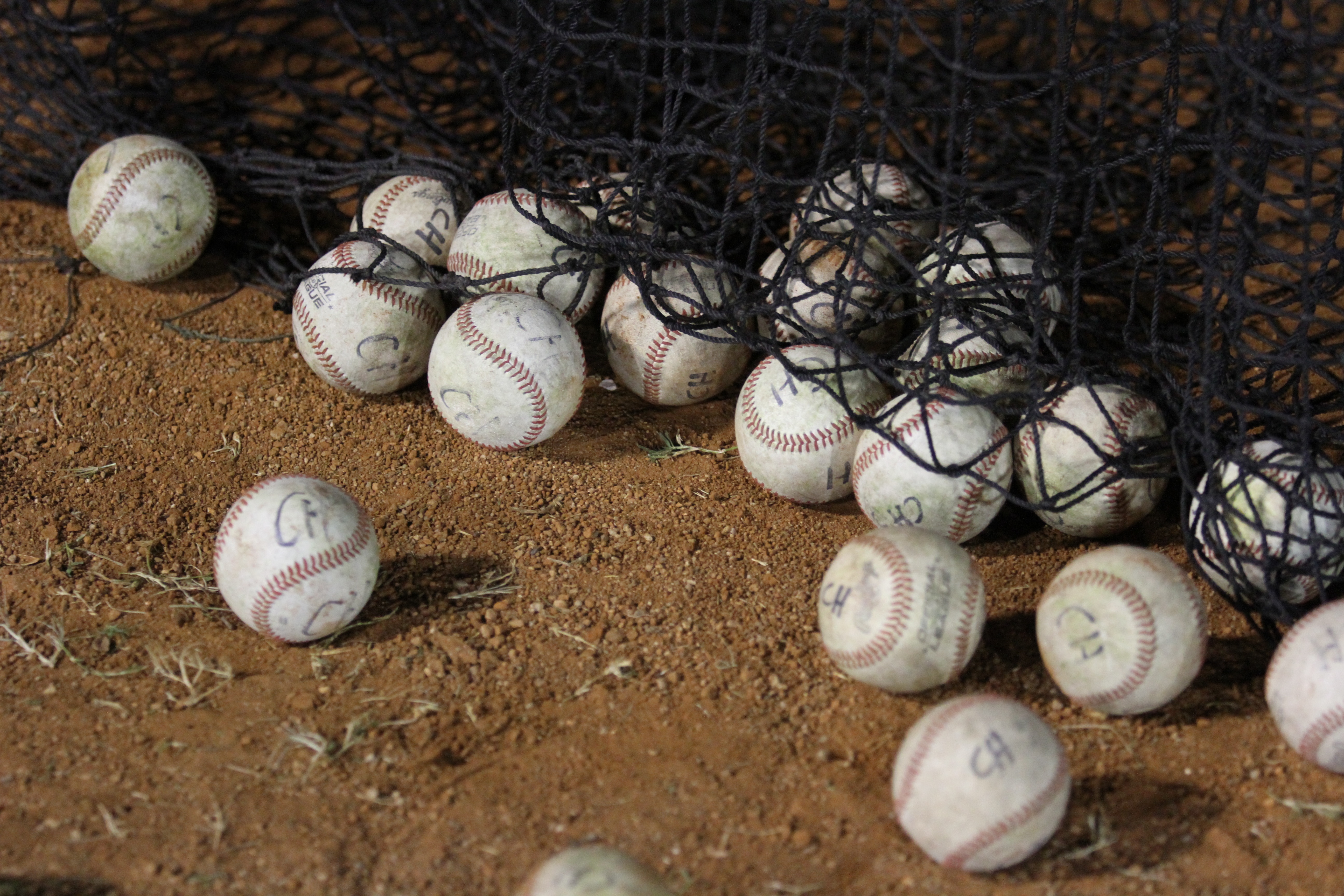 pelotas deportivas
