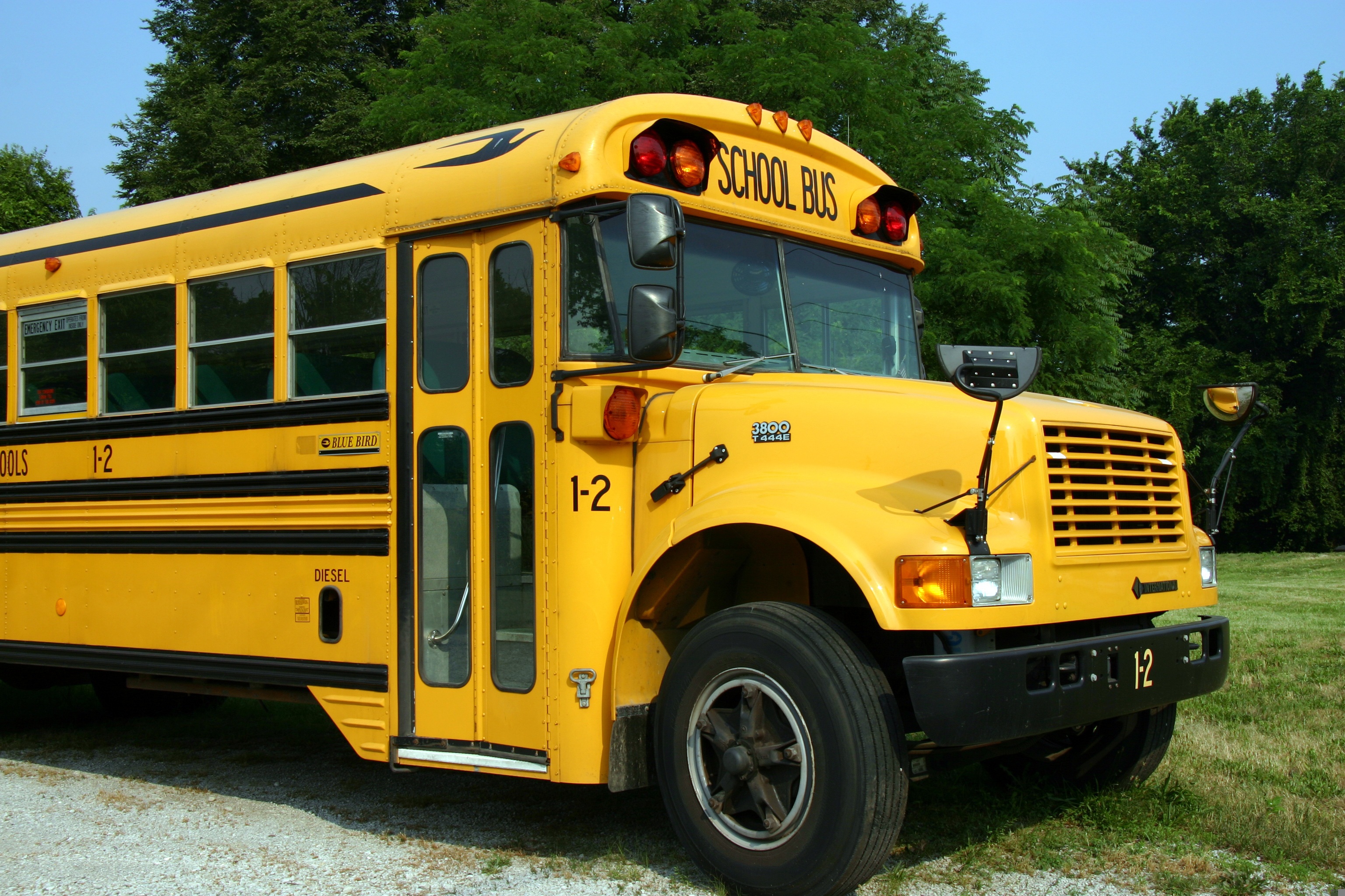 bus escolar