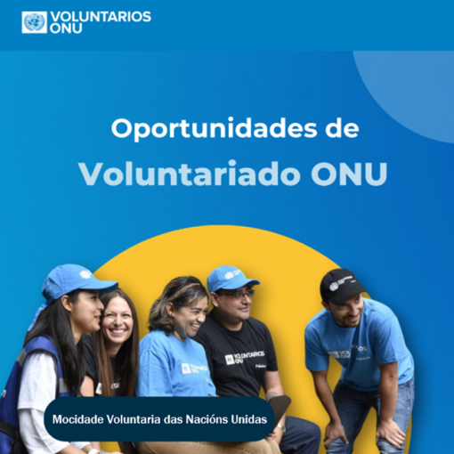 Voluntariado Xuvenil na ONU